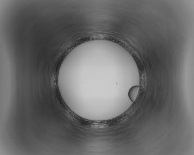 X0000111800714200907230955