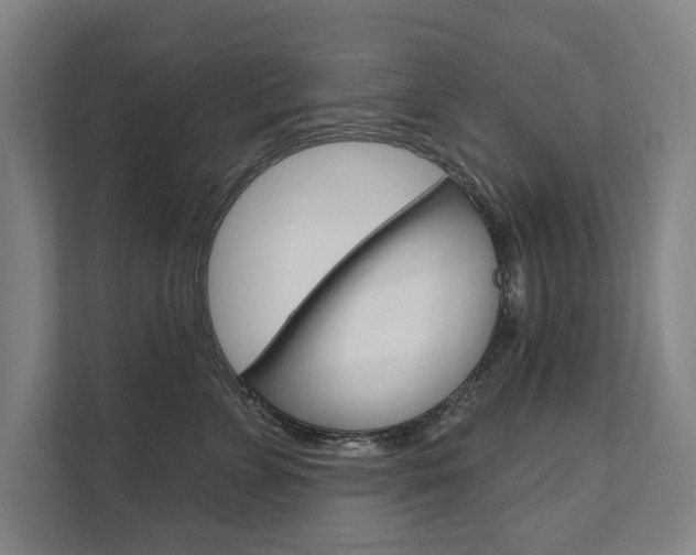 X0000111800715200907230955