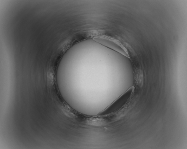 X0000111800716200907230955