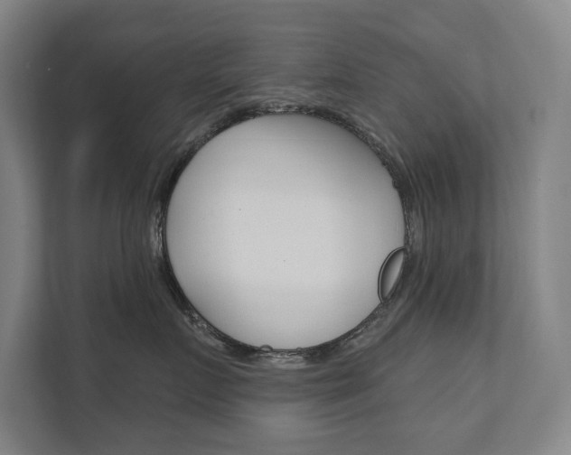 X0000111800719200907230955