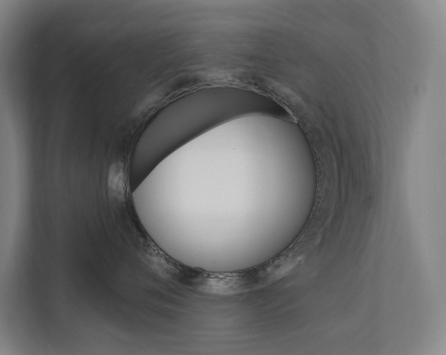 X0000111800720200907230955