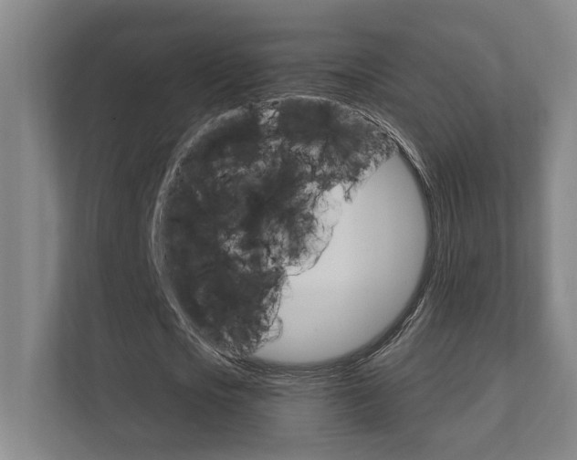 X0000111800721200907230954
