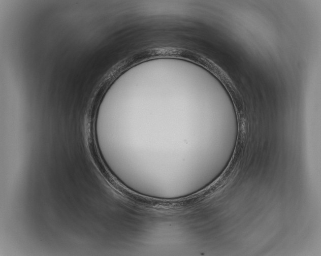 X0000111800725200907230954