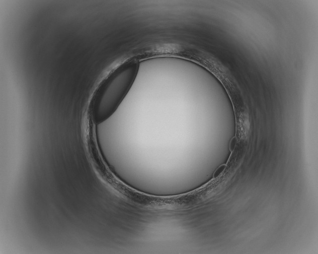 X0000111800726200907230954