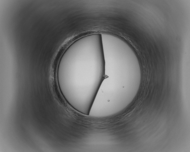 X0000111800727200907230954