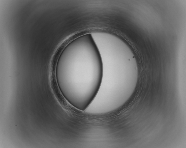 X0000111800728200907230954
