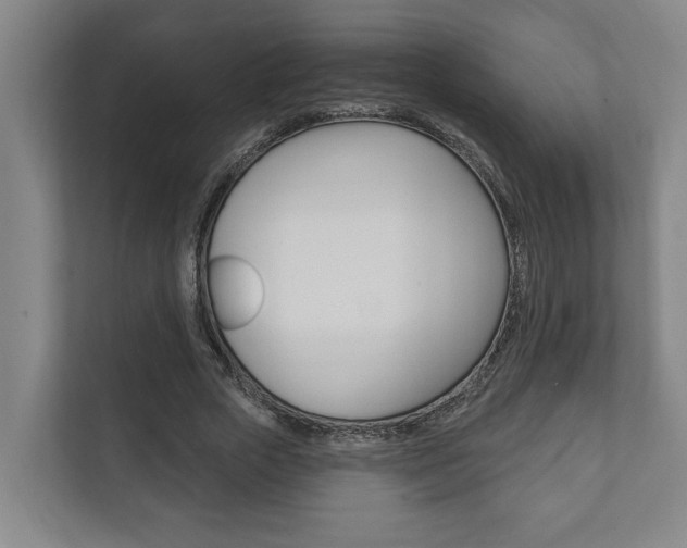 X0000111800729200907230954