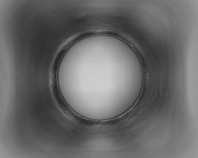 X0000111800732200907230954
