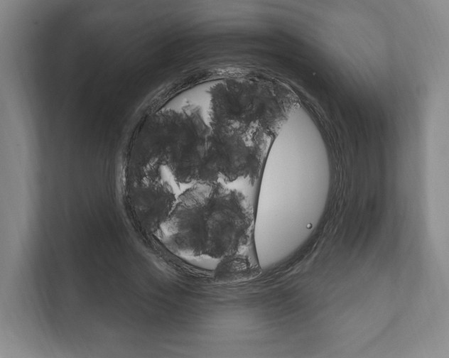 X0000111800733200907230954