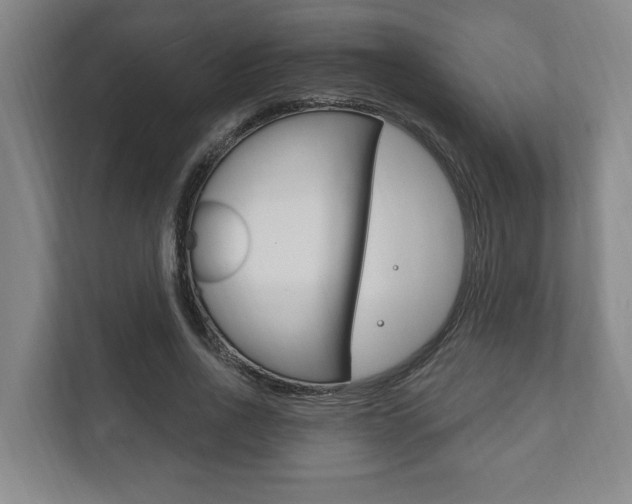 X0000111800734200907230954