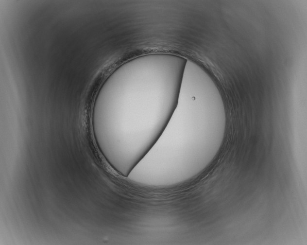 X0000111800735200907230954