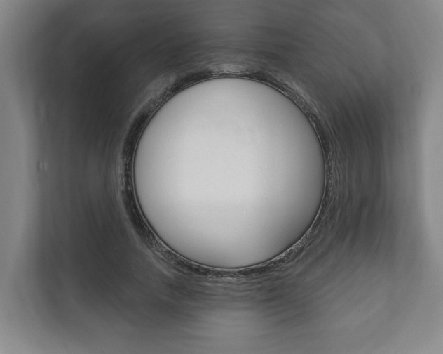 X0000111800738200907230955