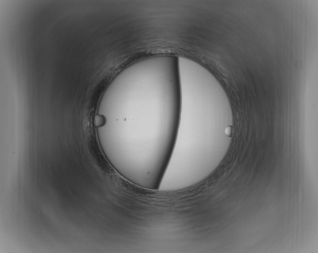 X0000111800743200907230955