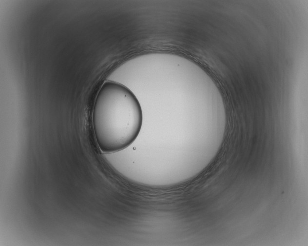 X0000111800744200907230955