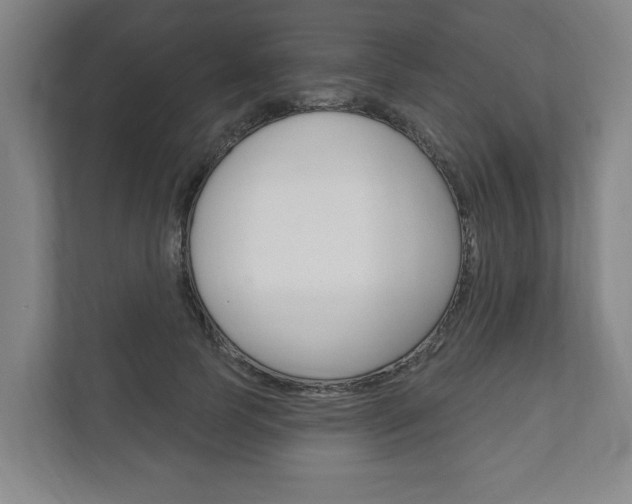 X0000111800745200907230955