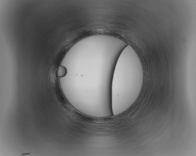 X0000111800746200907230955