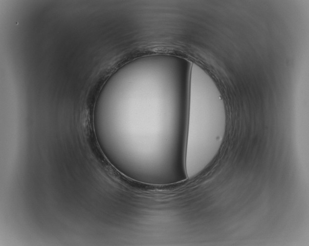 X0000111800748200907230955