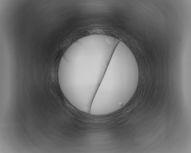 X0000111800751200907230955