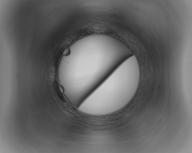 X0000111800752200907230955