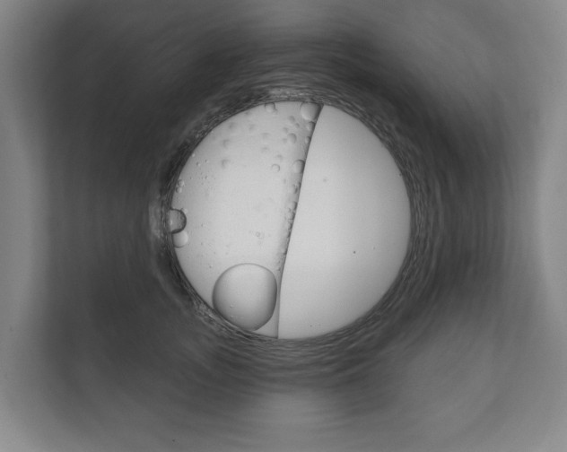 X0000111800755200907230955