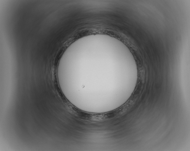 X0000111800757200907230955