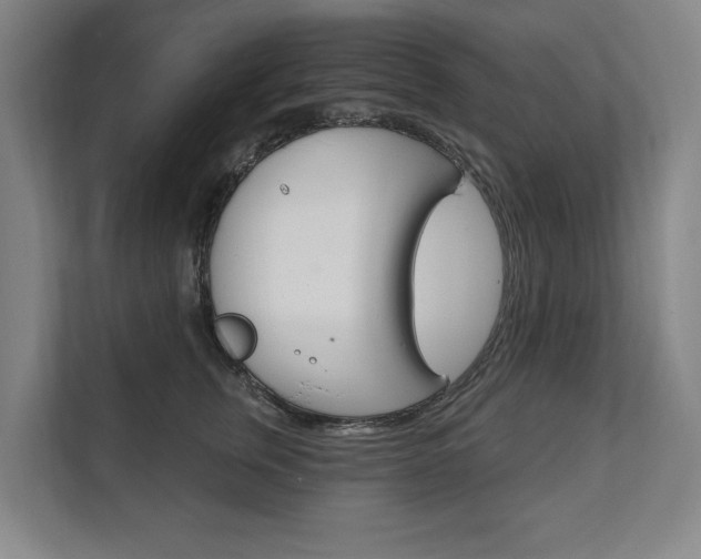 X0000111800759200907230955