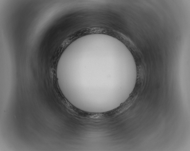X0000111800761200907230955