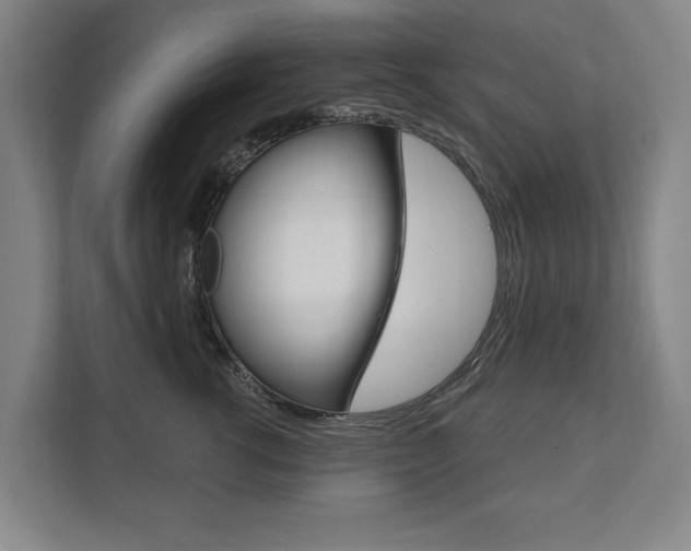 X0000111800762200907230955