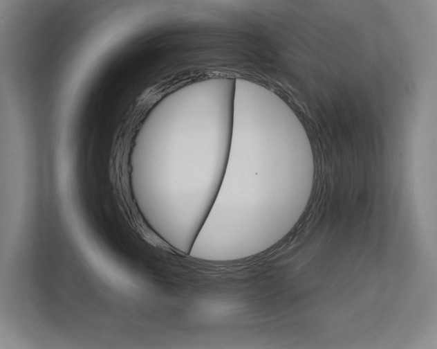X0000111800763200907230955
