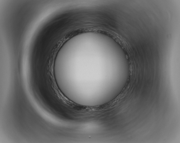 X0000111800764200907230955