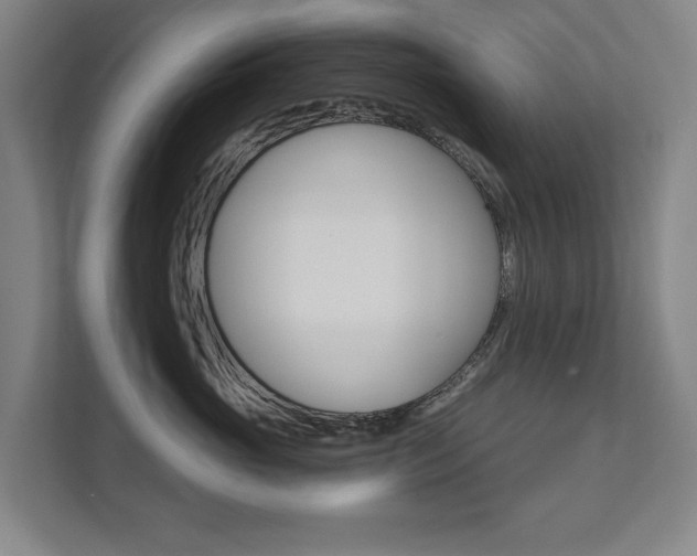 X0000111800765200907230955