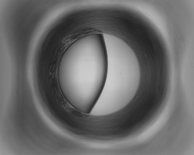 X0000111800766200907230955