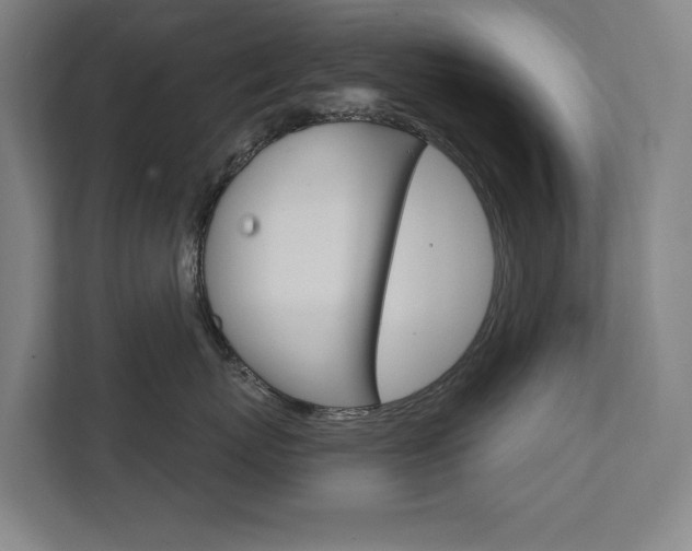 X0000111800767200907230955