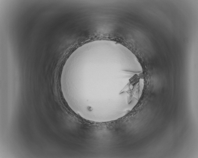 X0000111800769200907230954