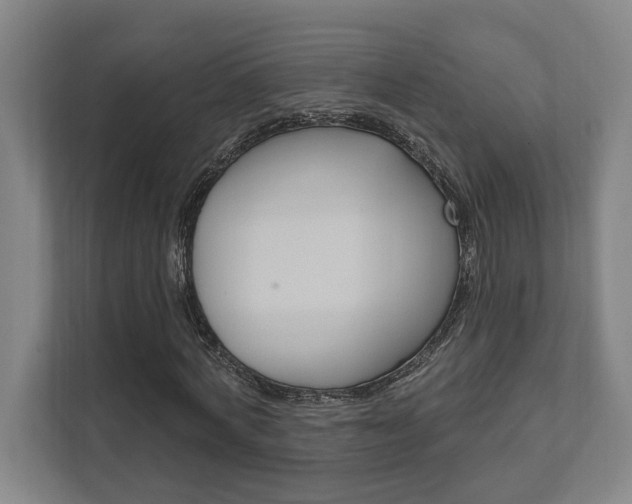 X0000111800772200907230954