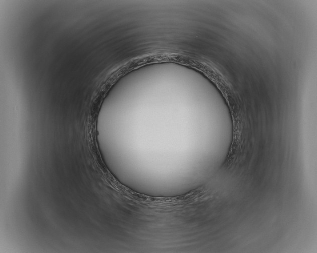 X0000111800773200907230954