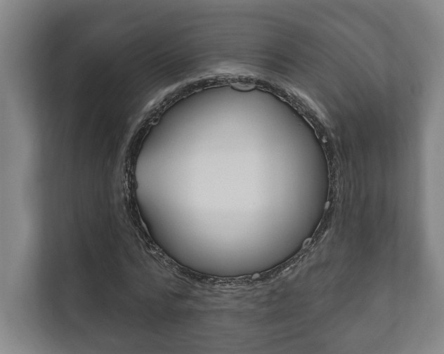 X0000111800776200907230954