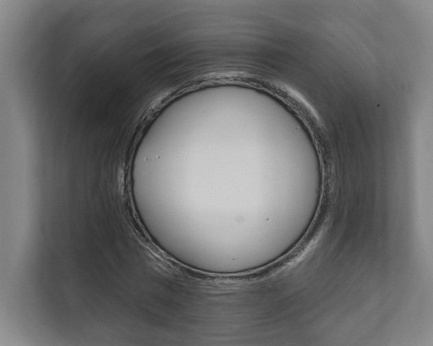 X0000111800777200907230954
