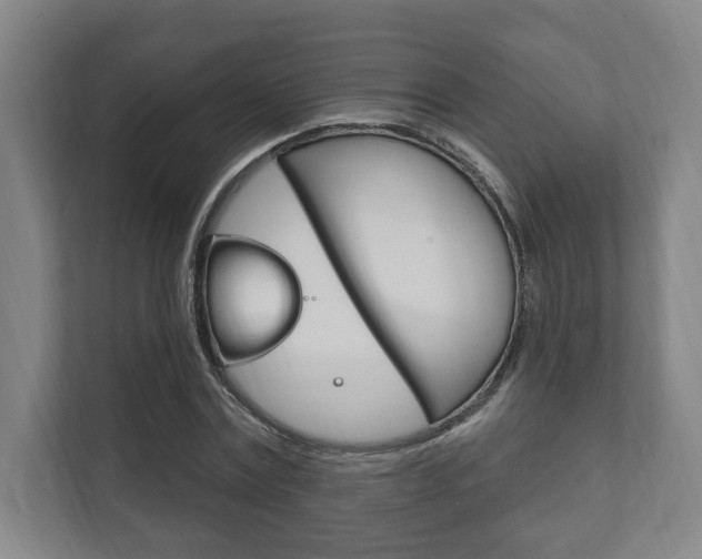 X0000111800779200907230954