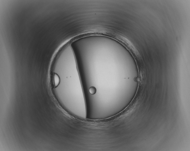 X0000111800780200907230954