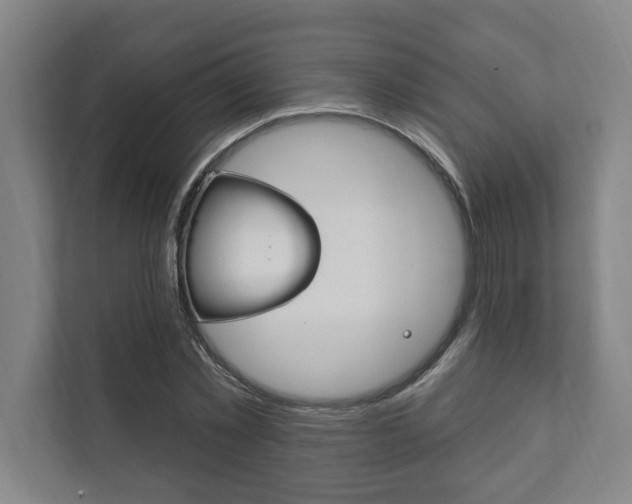 X0000111800781200907230954