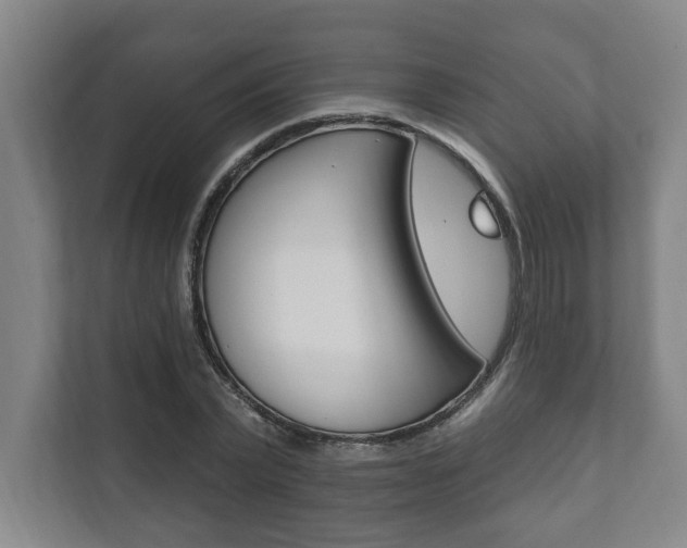 X0000111800783200907230954