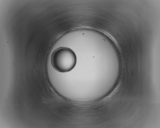 X0000111800785200907230954