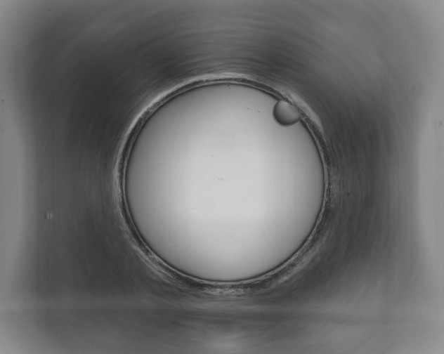 X0000111800789200907230954