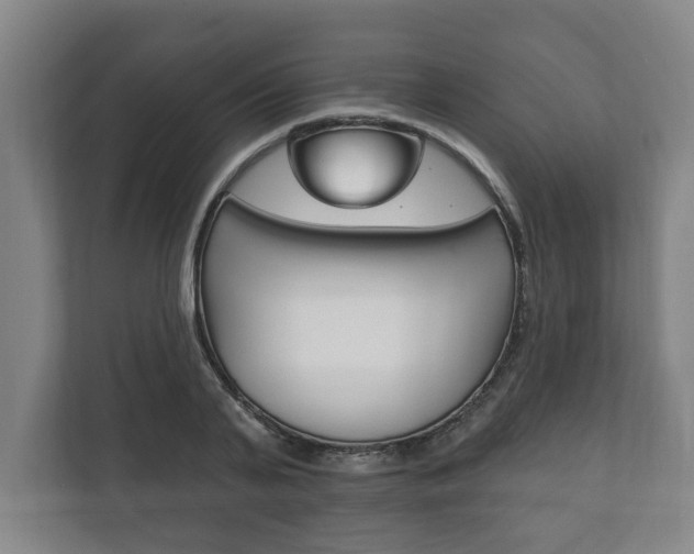 X0000111800791200907230954