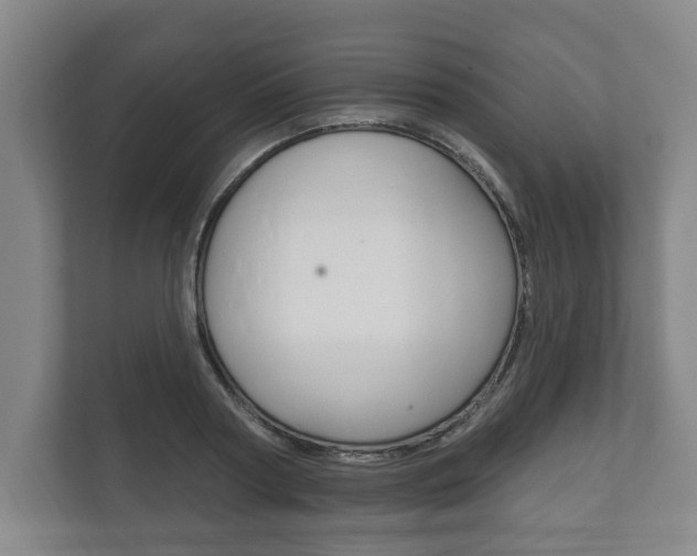 X0000111800794200907230954