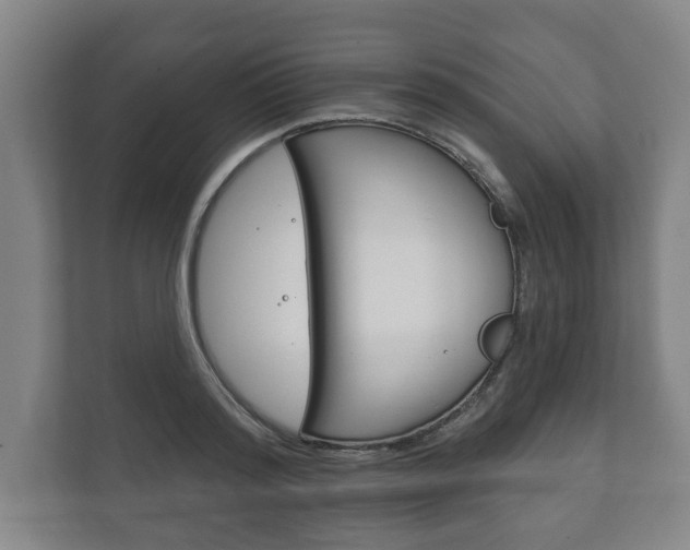 X0000111800796200907230954