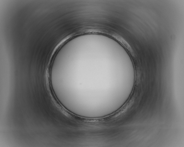 X0000111800798200907230954