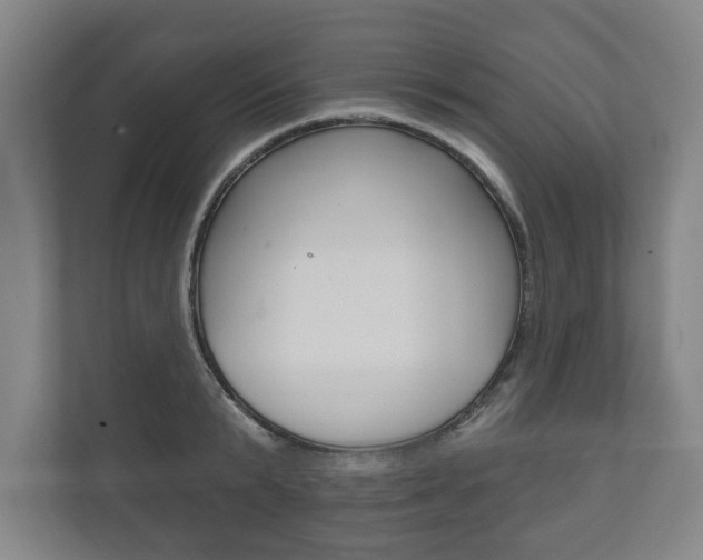 X0000111800799200907230954