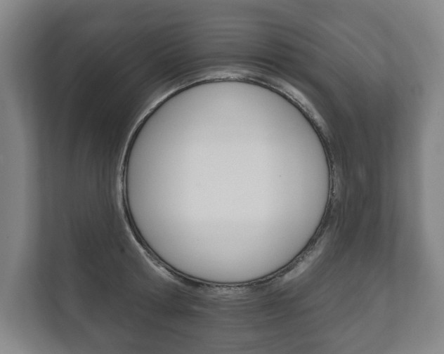 X0000111800802200907230954